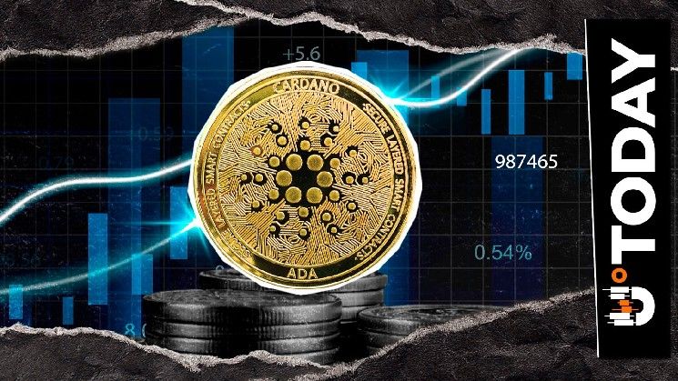كاردانو (ADA) تحافظ على مركزها ضمن أعلى 10 قيم سوقية مع صعود الاهانات المفتوحة لمواجهة الضغوط البيعية