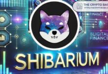 انخفاض معاملات شبكة شيبا إينو بأكثر من 80٪ خلال 24 ساعة