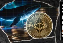 حوت إيثيريوم يشتري 100 مليون دولار من العملة مع ارتفاع النشاط على السلسلة إلى مستويات قياسية