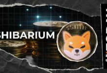 شيباريوم شيبا إينو يشهد ارتفاعًا بنسبة 300٪ في المعاملات: معظمها فارغة