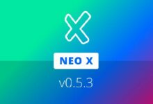 إطلاق "نيو إكس" الإصدار 0.5.3 "كوينشين" مع توصية عاجلة لتحديث عُقد الشبكة