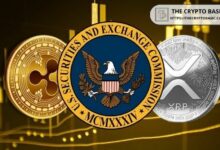 رئيس الشؤون القانونية لريبل يؤكد: "كنا نعلم دائمًا أن XRP ليس أصلًا ماليًا" في أعقاب التطور الأخير لهيئة الأوراق المالية والبورصات الأمريكية