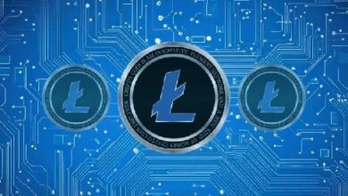 سعر اللايتكوين يتطلع إلى 60 دولاراً بدعم من لايتكوين في إم وتعزيز سردية إي في إم