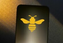 "هيف ديجيتال" تطلق أول مجموعة وحدات معالجة رسومية في باراغواي مدعومة بالطاقة المتجددة