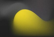 شبكة ميش تنضم إلى شبكة كانتون كمدقق للعمليات