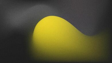 شبكة ميش تنضم إلى شبكة كانتون كمدقق للعمليات