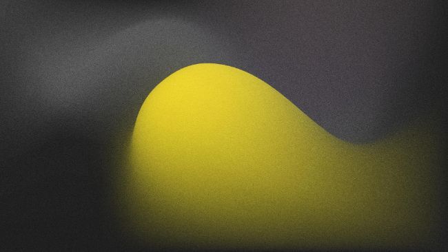 شبكة ميش تنضم إلى شبكة كانتون كمدقق للعمليات