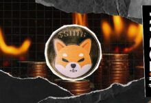 حرق عملة SHIB يتوقف عند الصفر لليوم الثاني على التوالي رغم صعود سوق العملات الرقمية