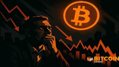 مؤشر الخوف والجشع للبيتكوين يبلغ مرحلة "الخوف الشديد" عند 13 من 100