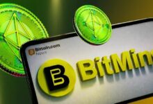 البيتكوين يتفوق على التضخم 97% من المرات، وفقًا لتوم لي الرئيس التنفيذي لـ Bitmine