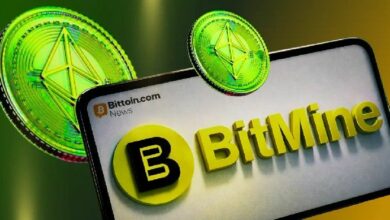 البيتكوين يتفوق على التضخم 97% من المرات، وفقًا لتوم لي الرئيس التنفيذي لـ Bitmine