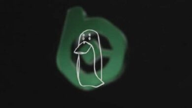 عرض مكافأة بقيمة 500 ألف دولار من BC.GAME لتتبع محفظة مرتبطة باستغلال بقيمة 4.3 مليون دولار