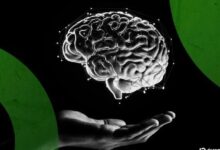 التحول لما بعد الكم قد يدفع منصات التشفير لإعادة النظر في أمن المحافظ الرقمية