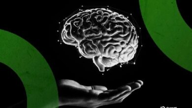 التحول لما بعد الكم قد يدفع منصات التشفير لإعادة النظر في أمن المحافظ الرقمية