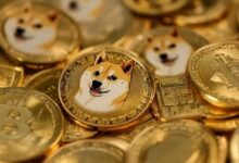 دوج كوين يحوم قرب مستوى دعم حاسم وسط إشارات متضاربة تعكر صفو آفاق التعافي