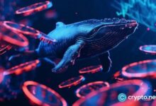 حوت يفتح صفقة بيع نفط برافعة 20x على Hyperliquid مع تعرض 5.6 مليون USDC للخطر