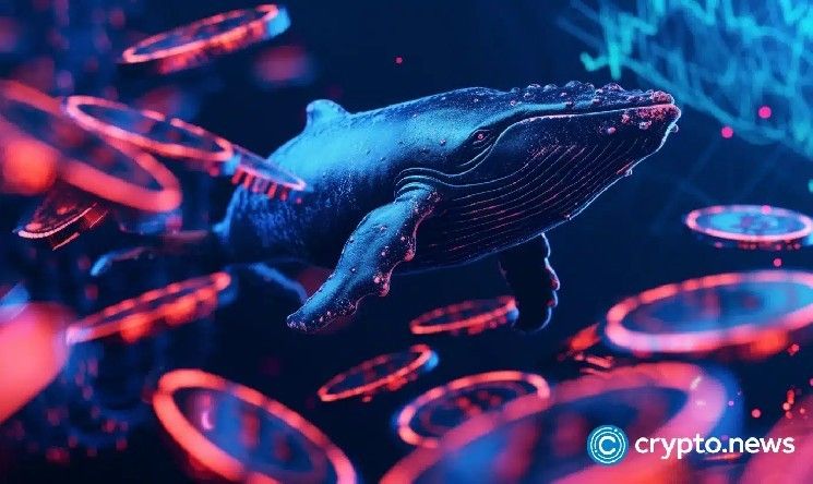 حوت يفتح صفقة بيع نفط برافعة 20x على Hyperliquid مع تعرض 5.6 مليون USDC للخطر