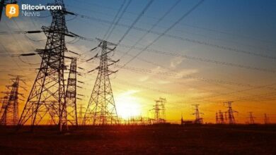 مؤسس Bitlease نيما بيني: انخفاض معدل الهاش ليس تهديدًا بفضل آليات أمنية مختلفة