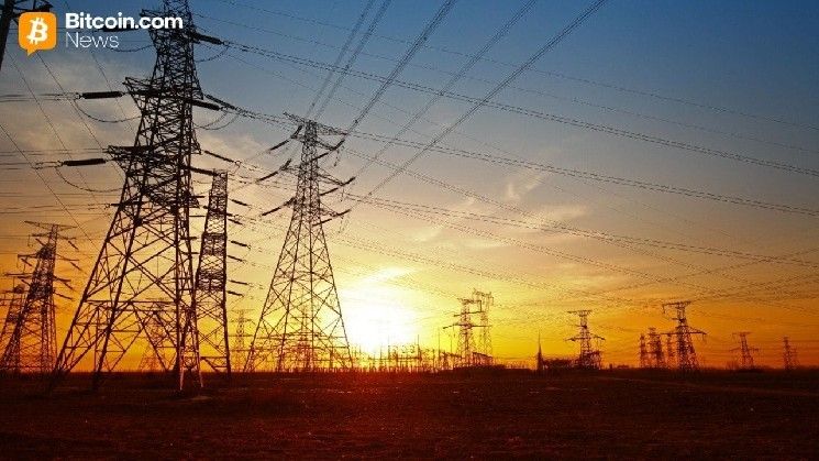 مؤسس Bitlease نيما بيني: انخفاض معدل الهاش ليس تهديدًا بفضل آليات أمنية مختلفة