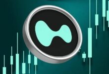 توقعات سعر Hyperliquid بعد تقديم Grayscale لصندوق HYPE ETF