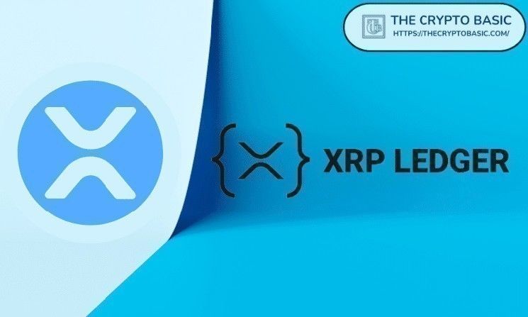 تحليل 5,000 كتلة أخيرة لـ XRP يكشف: المدفوعات تمثل 53% من أكثر من مليون معاملة
