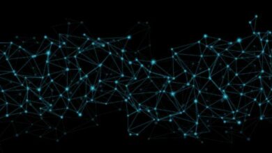 "زينيث" تطلق بيئة إيثيريوم على شبكة كانتون