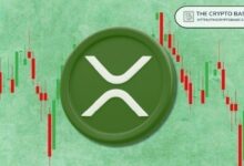عملية منهجية للتلاعب بسعر XRP جارية الآن: أكبر حامل للأصل الرقمي يعبر عن أسفه