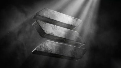 ديناميكيات سولانا تحت المجهر: قصة التباين والتأثير على مستقبل العملة