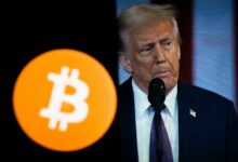 لو استثمرت 1000 دولار في أكبر 10 عملات رقمية عند تولي ترامب الرئاسة.. كم تبلغ قيمتها اليوم؟