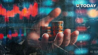 أسطورة صناديق التحوط: العملات الرقمية تتصرف كأصل عالي المخاطرة