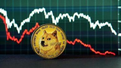 حجم تداول عملة Dogecoin يقفز بأكثر من 100% بينما يظل السعر تحت الضغط