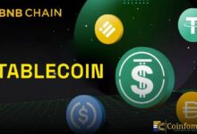 سلسلة BNB تتصدر نشاط العملات المستقرة بـ 15 مليون مرسل
