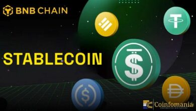سلسلة BNB تتصدر نشاط العملات المستقرة بـ 15 مليون مرسل