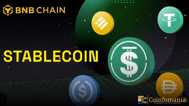 سلسلة BNB تتصدر نشاط العملات المستقرة بـ 15 مليون مرسل