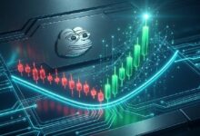 بيبي يرتد من دعم القناة السعرية — هل يليه صعود قوي؟