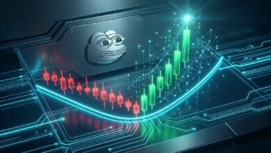 بيبي يرتد من دعم القناة السعرية — هل يليه صعود قوي؟