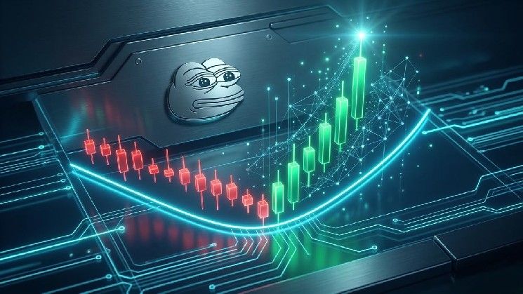 بيبي يرتد من دعم القناة السعرية — هل يليه صعود قوي؟