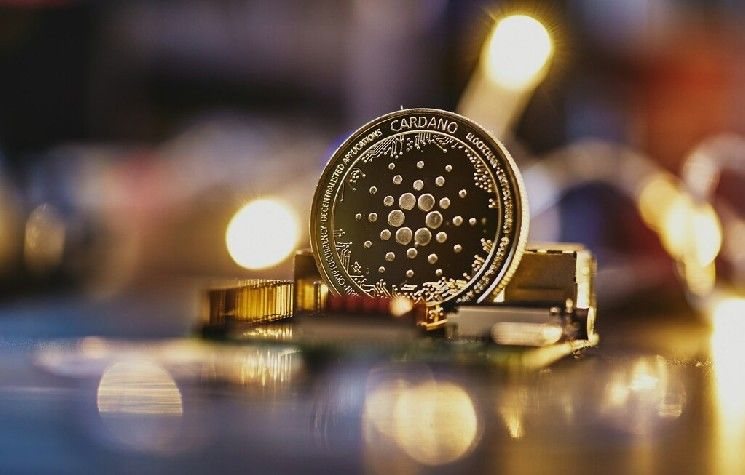 ADA تواجه صعوبات — مستويات الدعم الحاسمة التي يجب مراقبتها مع استمرار انخفاض كاردانو