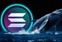 بيانات غير معتادة في مخططات سولانا (SOL) على البلوكشين – الحيتان غيروا استراتيجيتهم