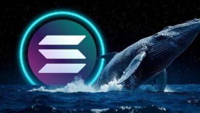 بيانات غير معتادة في مخططات سولانا (SOL) على البلوكشين – الحيتان غيروا استراتيجيتهم