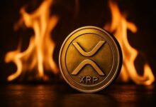 مُستثمر رئيسي: عملة XRP تواجه تلاعبًا منظمًا في السوق