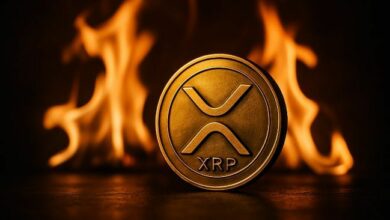مُستثمر رئيسي: عملة XRP تواجه تلاعبًا منظمًا في السوق