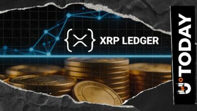 عدد عناوين XRP Ledger الحاوية على 100,000 XRP يصل إلى 32,054 عنوانًا