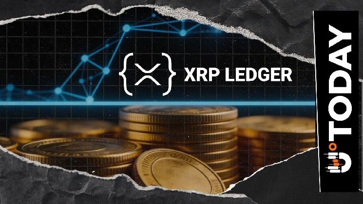عدد عناوين XRP Ledger الحاوية على 100,000 XRP يصل إلى 32,054 عنوانًا