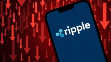 ادعاء اليوم المثير حول ريبل (XRP) بـ "تريليونات الدولارات" يتبين أنه زائف