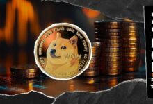 بيانات سوق دوجكوين (DOGE) تشير إلى تحول مع انخفاض المعروض في البورصات