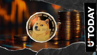 بيانات سوق دوجكوين (DOGE) تشير إلى تحول مع انخفاض المعروض في البورصات