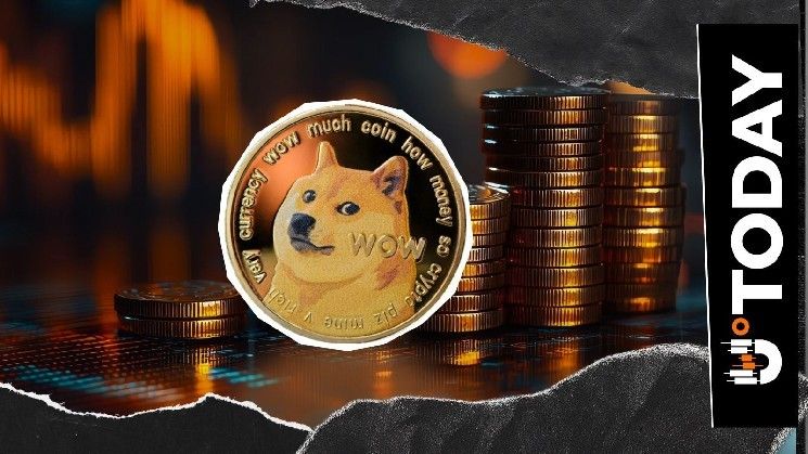 بيانات سوق دوجكوين (DOGE) تشير إلى تحول مع انخفاض المعروض في البورصات