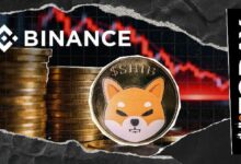 تسرب 733 مليار SHIB: احتياطيات بينانس من شيبا إينو تنخفض 1.38% مع الاحتفاظ بـ 52.5 تريليون في الاحتياطيات الإجمالية