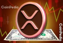"خبير اقتصادي بارز يدفع بنظرية احتياطي الريبل XRP نحو الزوال: 'لا تراجع عن القرار'"